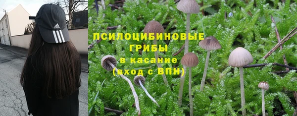 спиды Майский