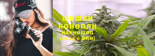 спиды Майский