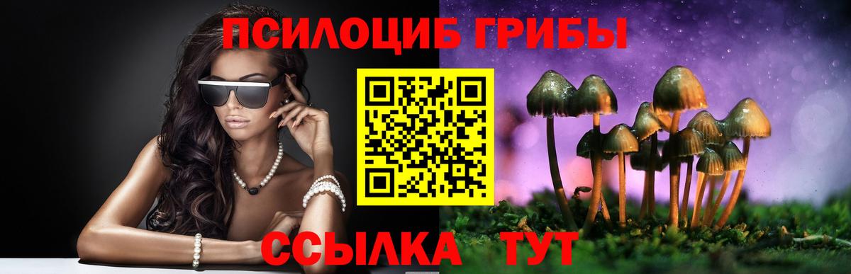 Псилоцибиновые грибы Psilocybine cubensis  Вход с VPN  Уфа 